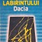 Incercarea labirintului (C308)