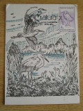 C12 - maxima Romania - tematica pasari 35 - prima zi a emisiunii sau expozitii, Romania de la 1950, Fauna