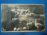FELICITARE DE PASTI CARTE POSTALA-CHRISTOS A INVIAT / 1930