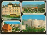 CPIB 16239 CARTE POSTALA - PIATRA NEAMT, MOZAIC