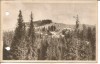 (A) carte postala-PALTINIS-vedere, Necirculata, Printata
