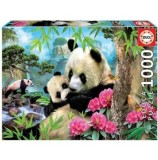 Cumpara ieftin Puzzle Educa - Panda, 1000 piese