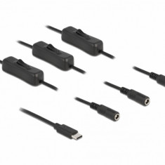 Cablu USB Type-C la 3 x DC 5.5 x 2.1 mm cu switch T-M 1m, Delock 86801