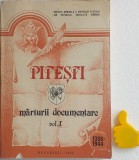 Pitesti marturii documentare vol I