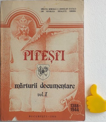 Pitesti marturii documentare vol I foto