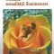 Ghidul sexualitatii iluminatoare - David Deida, Ed. Kamala, 2007
