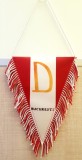 Fanion Dinamo Bucuresti