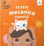 Cumpara ieftin Ce este mecanica cuantica/Ruth Spiro, Irene Chan