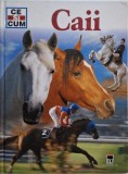 Caii - Kerstin Neumann - Carte (Noua/Anticariat) - Stare Buna/Foarte Buna