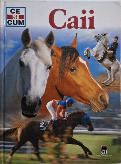 Caii &ndash; Kerstin Neumann