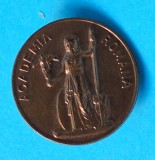 Academia Romana - insigna Rara