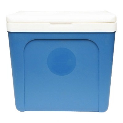 Lada frigorifica pentru picnic 25L 39 x 28 x 36,5 cm foto