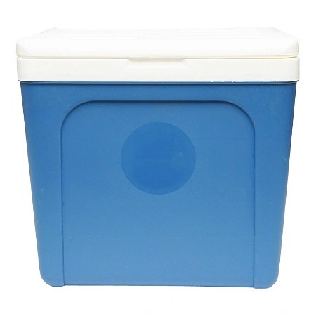 Lada frigorifica pentru picnic 25L 39 x 28 x 36,5 cm
