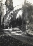 P2202N Cheile Bicazului, 1930