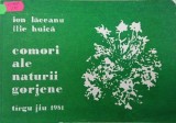 Comori ale naturii gorjene - Ion Laceanu, Ilie Huica