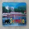 D1 - Magnet frigider - tematica turism - Sovata - Romania 8