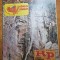 romania pitoreasca august 1980-art.jud. arges,malaia satul oierilor,bucuresti