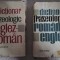 Dictionar frazeologic roman-englez si englez-roman - Andrei Bantas