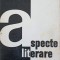 ASPECTE LITERARE-MATEI CALINESCU-261720