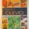 MARIUS CILIEVICI de ION LAZAR