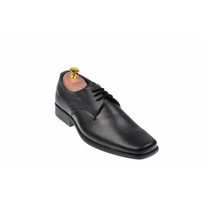 Pantofi barbati eleganti din piele naturala, cu siret 1002N foto