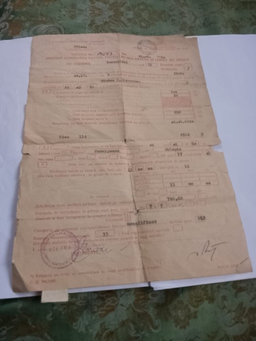Document decizie ramnicu valcea