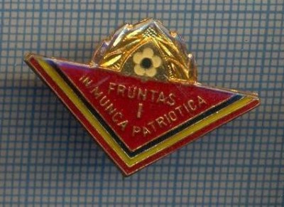 AX 878 INSIGNA -PIONIERI- FRUNTAS IN MUNCA PATRIOTICA-LOCUL1-PENTRU COLECTIONARI foto
