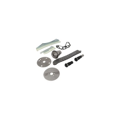 Set kit lant distributie FIAT DUCATO platou sasiu 250 290 DAYCO KTC1054 foto