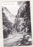 bnk cp Aspect din defileul Argesului - Vedere - circulata