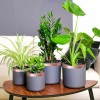 VidaXL Bandă din cupru dublă față Cupru 2000 x 3 cm Cupru 42008344