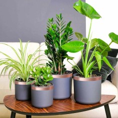 vidaXL Bandă din cupru dublă față 6 buc 6 pcs Cupru 2000 x 3 cm