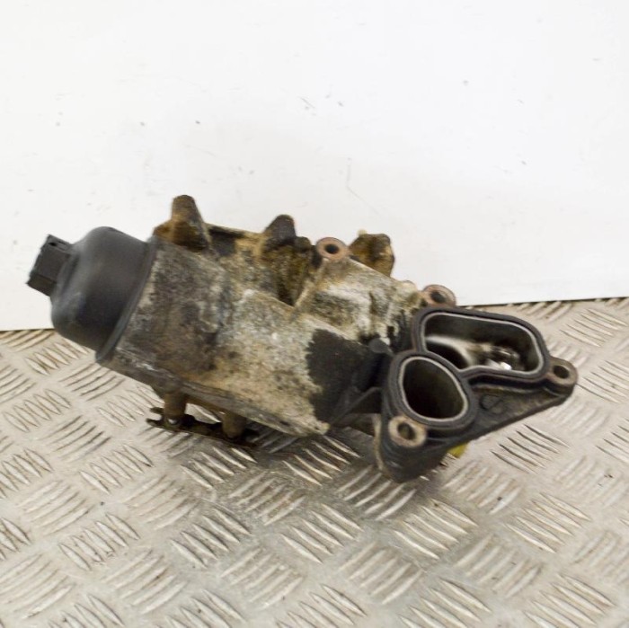 Carcasa filtru de ulei RENAULT MASTER III Furgon FV 2011 | 3425565