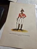 Cromografie germana uniforma primului regiment de dragoni grei 1803 sfarsit de secol al XIX-lea / inceput de secol al XX-lea