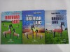 BREVIAR LAIC vol.1 - AL DOILEA BREVIAR LAIC vol.2 - AL TREILEA BREVIAR LAIC vol.3 - IOAN TALPES - fiecare volum are dedicatie