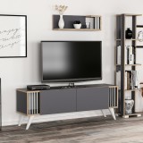 Set suport TV cu raft Albertslund 42 x 120 x 31 cm antracit efect lemn [en.casa] HausGarden Leisure