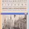 SINAGOGA , ARHITECTURA A MONOTEISMULUI de MIRCEA MOLDOVAN , 2003