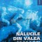 Nalucile din Valea Cocoarei - 2013 - Tudor Leonte (P68)