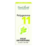 Polygemma 11 Ficat Detoxifiere 50ml