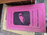 Mag &icirc;n labirint vintage, 1973