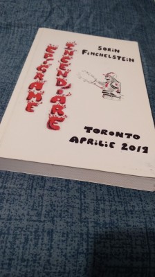 EPIGRAME INCENDIARE -SORIN FINCHELSTEIN /NOUA foto