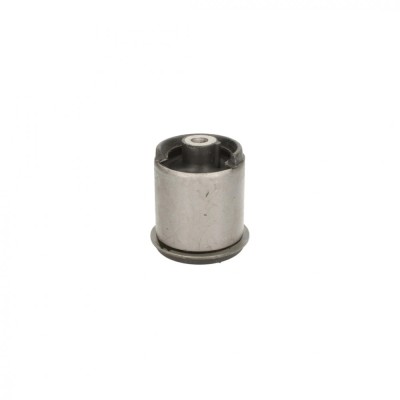 Suport bucsa spate VW BORA combi (1J6) 1.8 T 2000-2005 CORTECO 21652952 foto