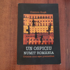 Un ospiciu numit Romania.Cronica unui esec premeditat de Cozmin Gusa
