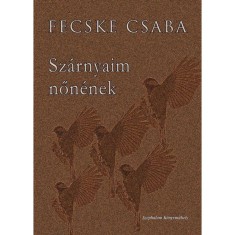 Sz&aacute;rnyaim nőn&eacute;nek -&Uuml;KH 2016 - Fecske Csaba