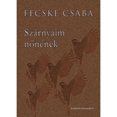 Sz&amp;aacute;rnyaim nőn&amp;eacute;nek -&amp;Uuml;KH 2016 - Fecske Csaba foto