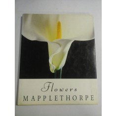 Flowers MAPPLETHORPE - Prezentare in limba germana Schirmer/Mosel