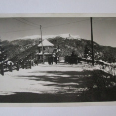 Rara! Predeal:Amicii Predealului/Scoala nationala de ski,carte postala foto 1939