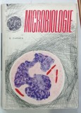MICROBIOLOGIE de G. ZARNEA , 1963