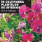D. G. Hessayon - Expert &icirc;n cultivarea plantelor de interior ( vol. 1 )