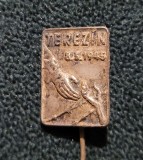 Insigna lagarul de exterminare Terezin 1945 WW2