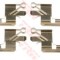 Set accesorii, placute frana NISSAN NAVARA platou / sasiu (D40) (2008 - 2016) TRW PFK606